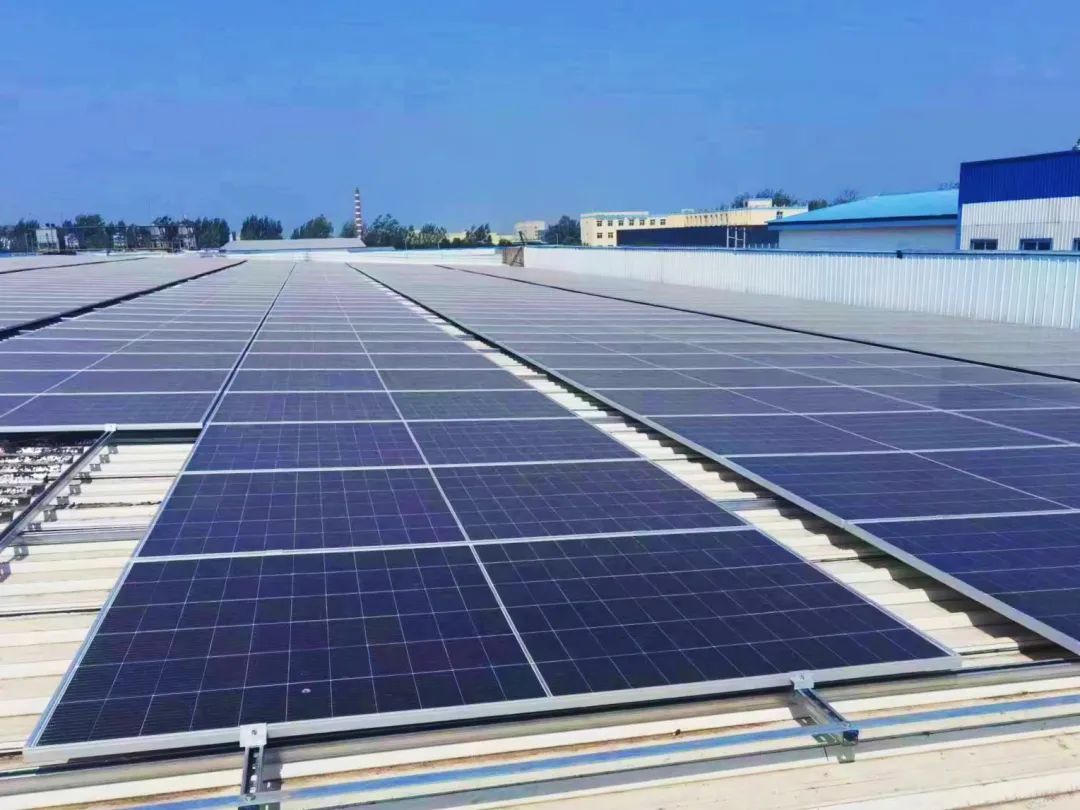 PAÆì½¢Ìü(ÖйúÇø)¹Ù·½ÍøÕ¾-PlayAce